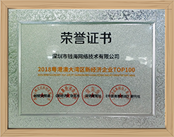 粤港澳大湾区新经济企业TOP100